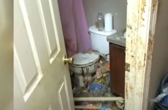 Mother charged with child abuse in Pontiac neglect case - The American ...